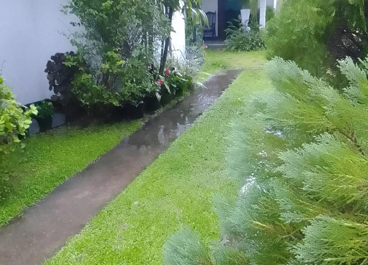 D Villa 1 Katunayake